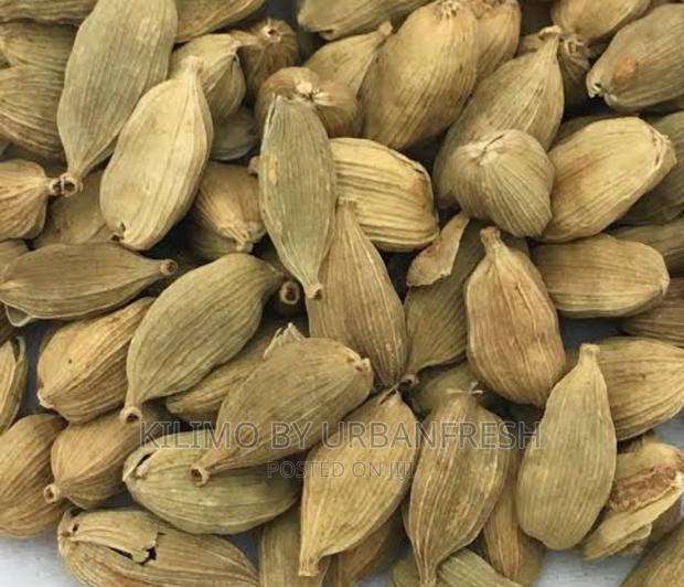 Cardamon Seedlings. - thumbnail 3