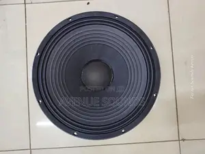 JBL Midrange Naked Speaker
