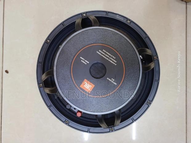 JBL Midrange Naked Speaker