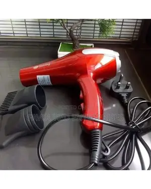 Sterling Home and Salon Hair Dryer Blow Dry Machine