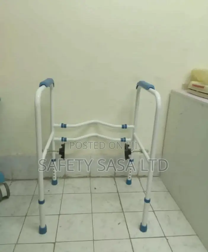 Executive Toilet Safety Frame