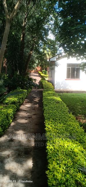 2bdrm Bungalow in Karen for rent - thumbnail 2