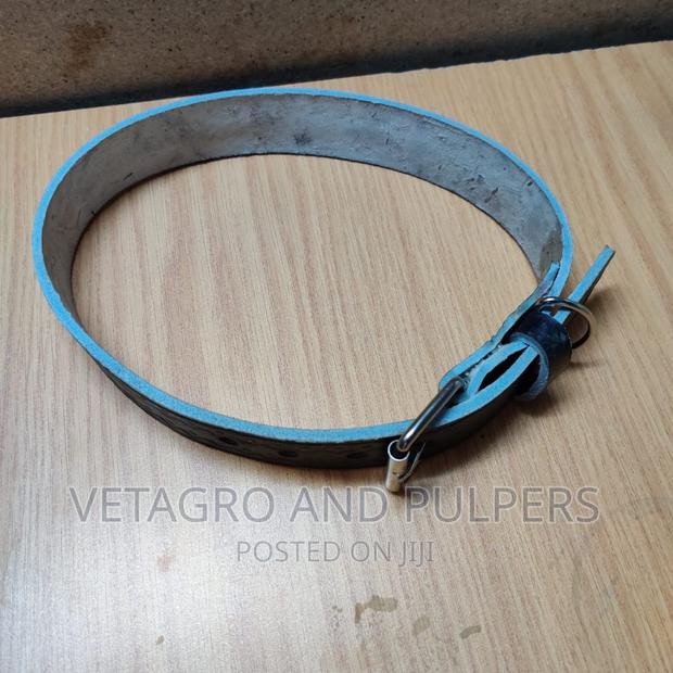 Leather Dog Collar - thumbnail 2