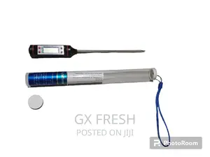Digital Thermometer