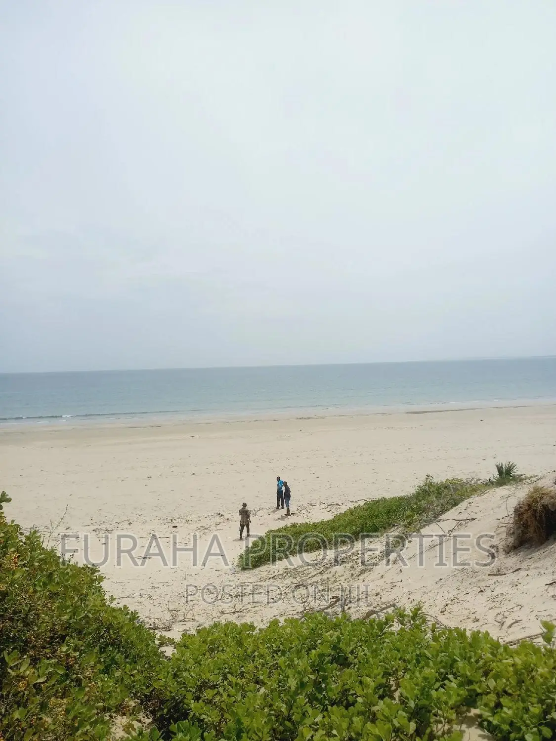 For Sale 4.5 Acres Beach Land Ngomen Malindi