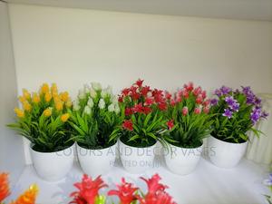 Bonsai Potted Plants Offer Price - thumbnail 2