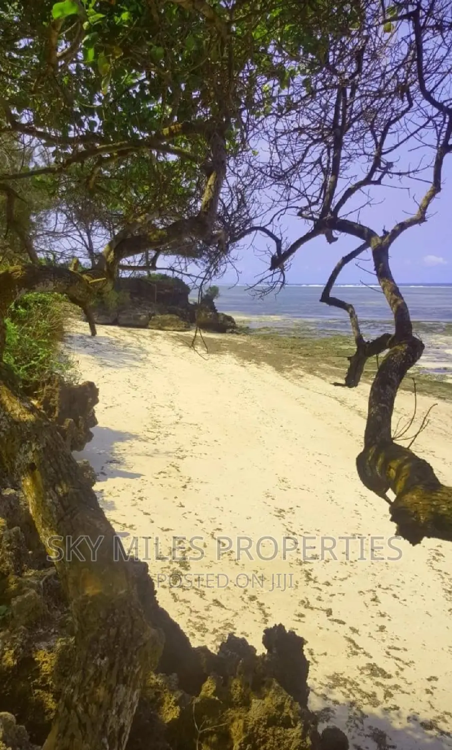 Kuruwitu Vipingo,167.5 Acres on Sale