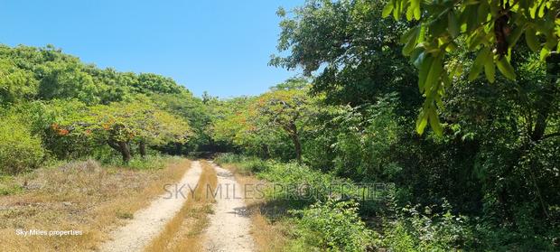 Kuruwitu Vipingo,167.5 Acres on Sale - thumbnail 16