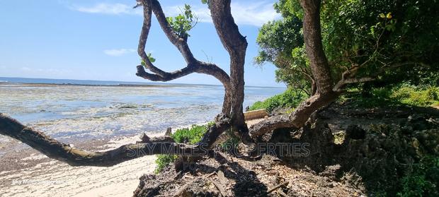 Kuruwitu Vipingo,167.5 Acres on Sale - thumbnail 17