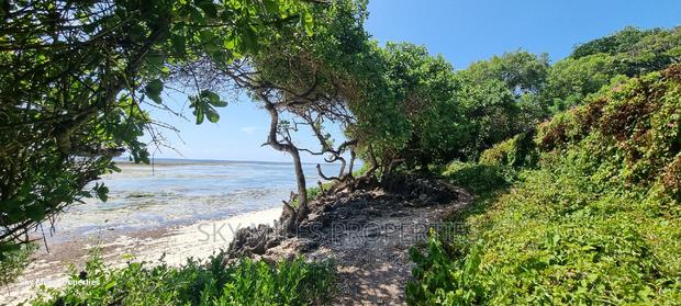 Kuruwitu Vipingo,167.5 Acres on Sale - thumbnail 18