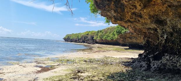 Kuruwitu Vipingo,167.5 Acres on Sale - thumbnail 19