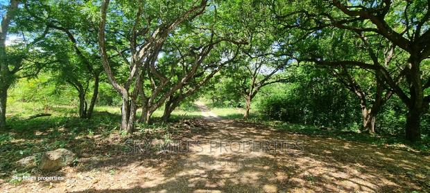Kuruwitu Vipingo,167.5 Acres on Sale - thumbnail 20