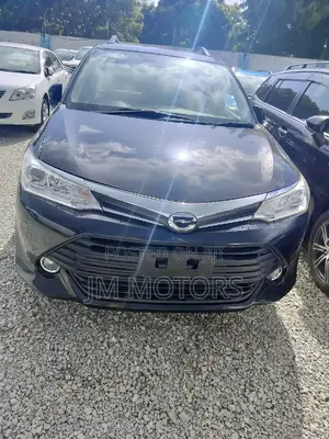 Toyota Corolla Fielder 2016 Black