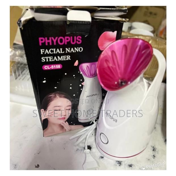 Electric Portable Beauty Nano Ionic Humidify Facial Steamer