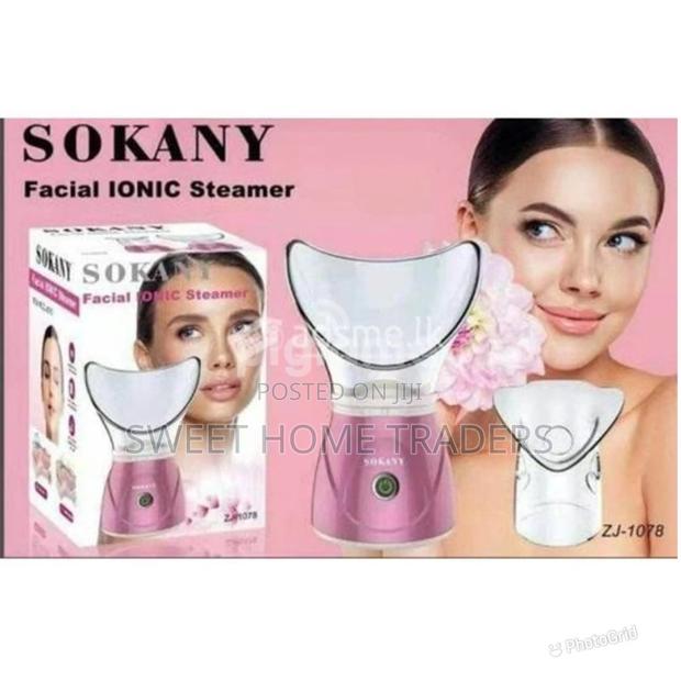 Electric Portable Beauty Nano Humidify Facial Steamer,