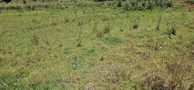 Elgonview 1⁄2 Acre Plot for Sale in Eldoret - thumbnail 3
