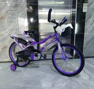 Size 20 Bike