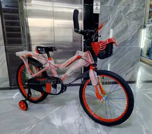 Size 20 Bike