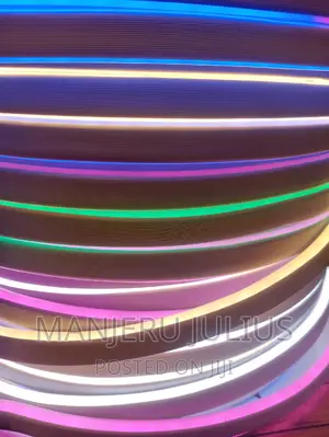 Multicolored Neon Snake Light