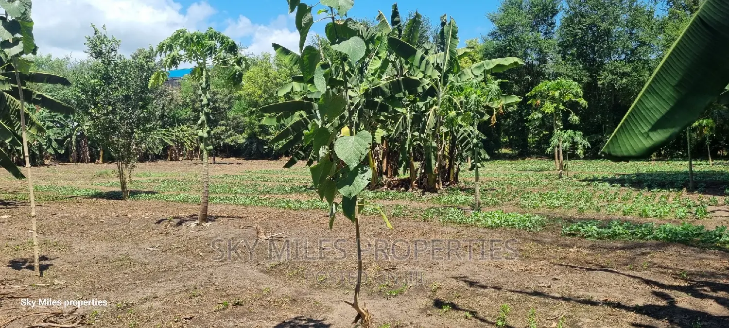 Mtwapa, Prime 1/2 Acre Land for Sale.