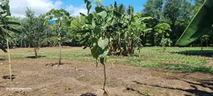 Mtwapa, Prime 1/2 Acre Land for Sale.