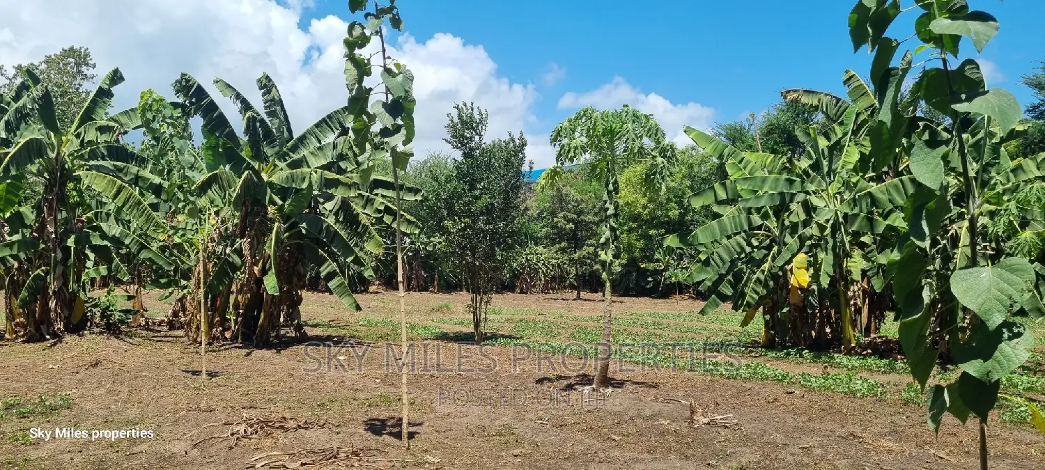 Mtwapa, Prime 1/2 Acre Land for Sale.