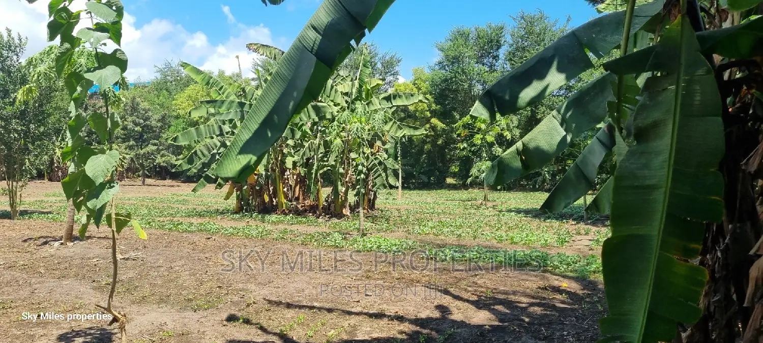 Mtwapa, Prime 1/2 Acre Land for Sale.