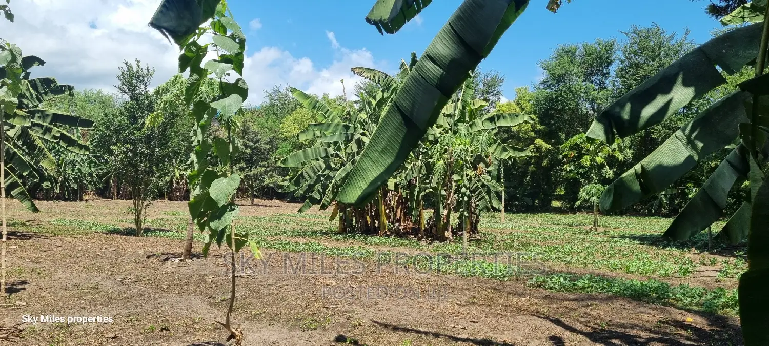 Mtwapa, Prime 1/2 Acre Land for Sale.