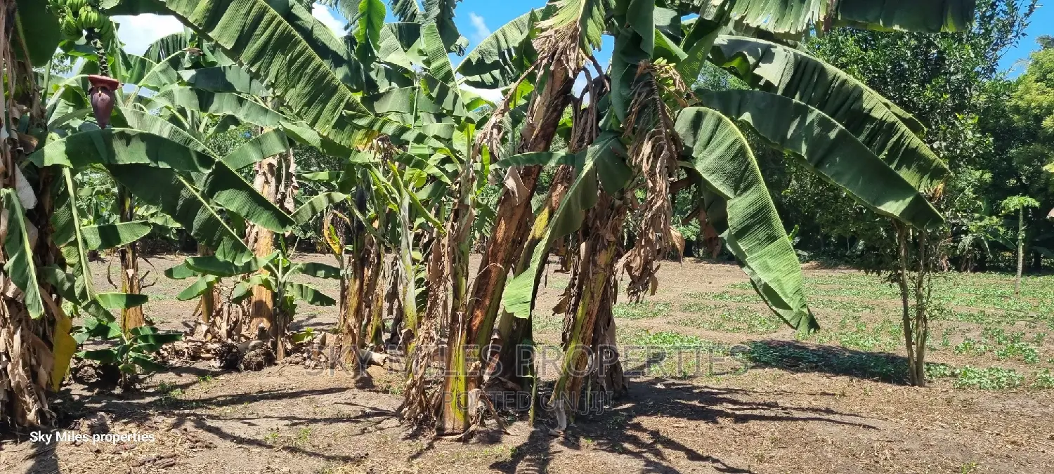 Mtwapa, Prime 1/2 Acre Land for Sale.