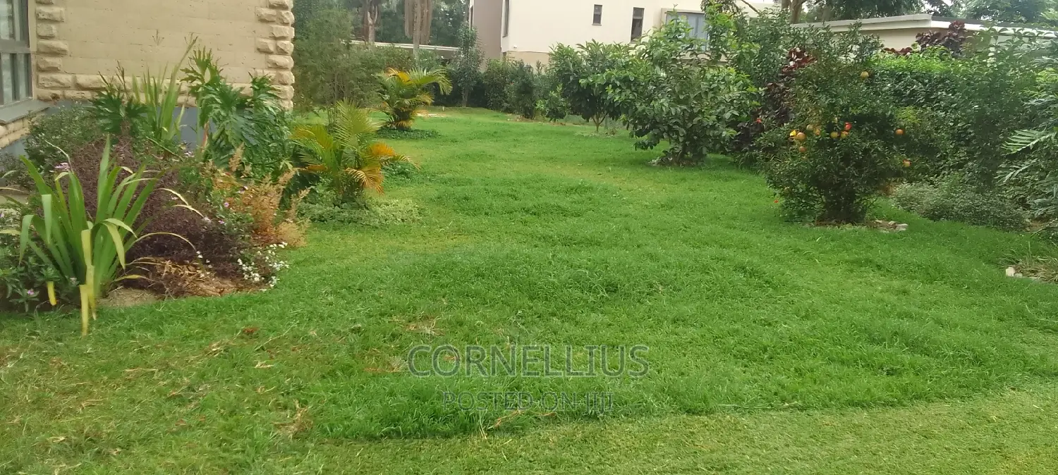 Compound Cleaning Flowers and Grass Trimming