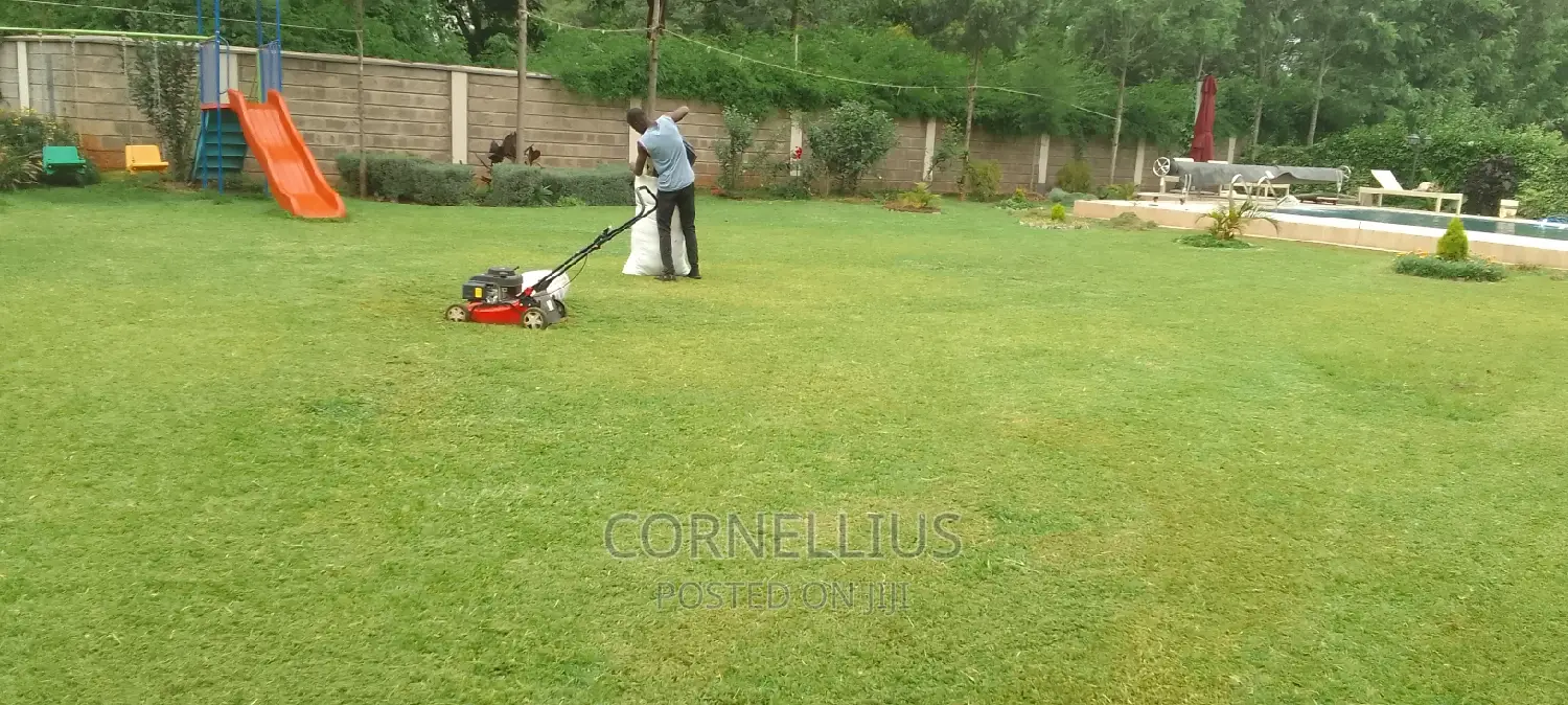 Compound Cleaning Flowers and Grass Trimming