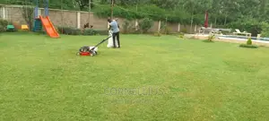 Compound Cleaning Flowers and Grass Trimming