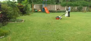 Compound Cleaning Flowers and Grass Trimming
