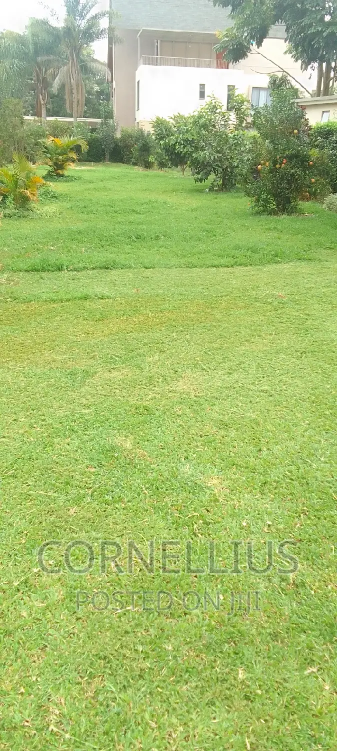 Compound Cleaning Flowers and Grass Trimming