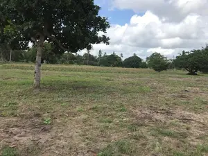 50 by 100 Prime Plots for Sale in Kwale County(2acres)