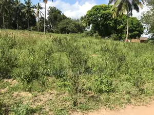 50 by 100 Prime Plots for Sale in Kwale County(2acres)