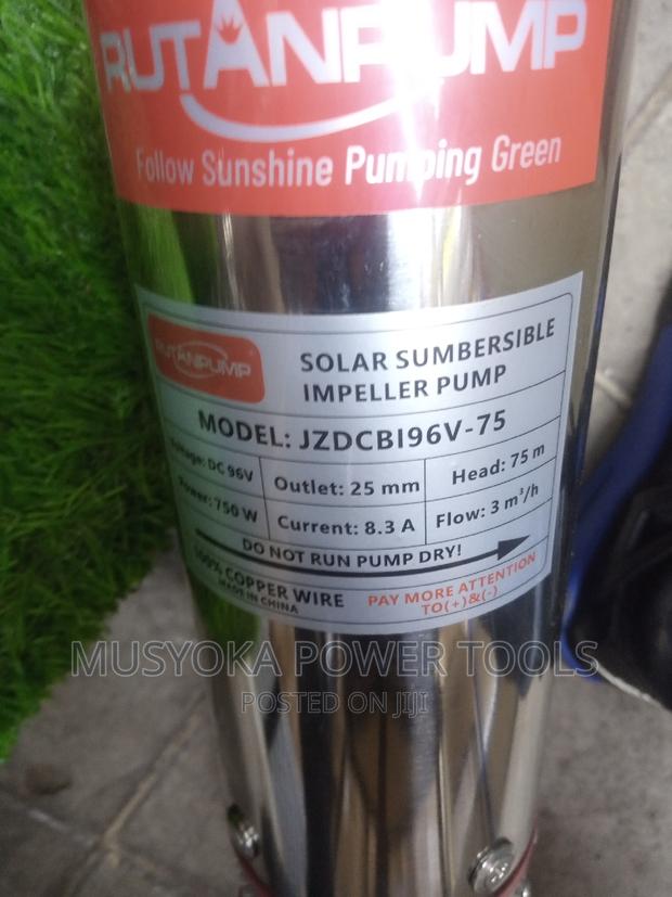 RUTANPUMP Submersible Solar Pump With 96v, 75 M Head Red