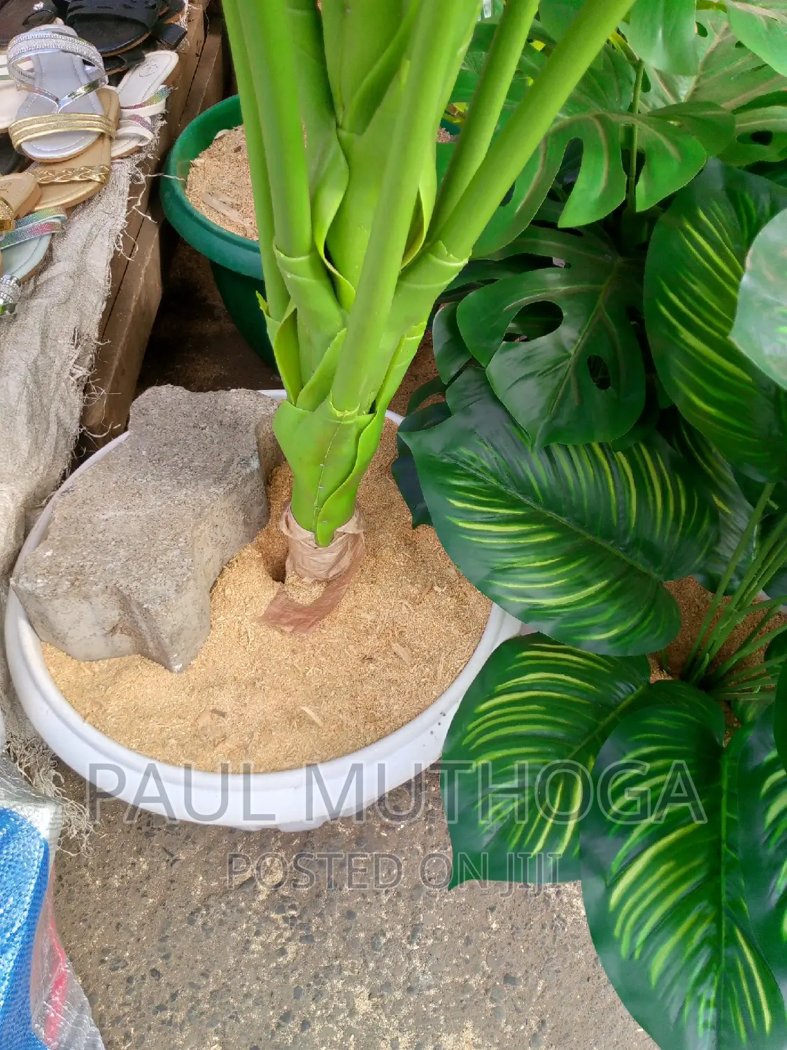 Flower Pots #13