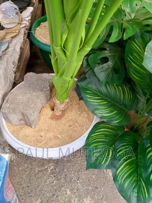 Flower Pots #13