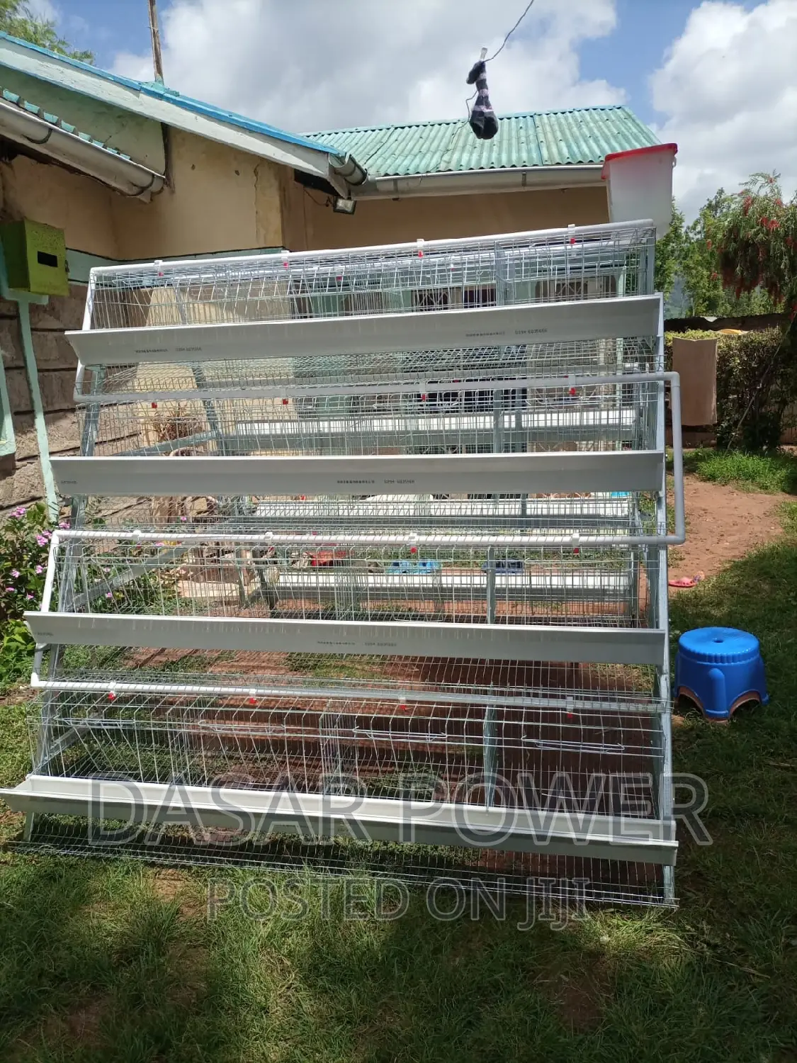 Poutry Cages