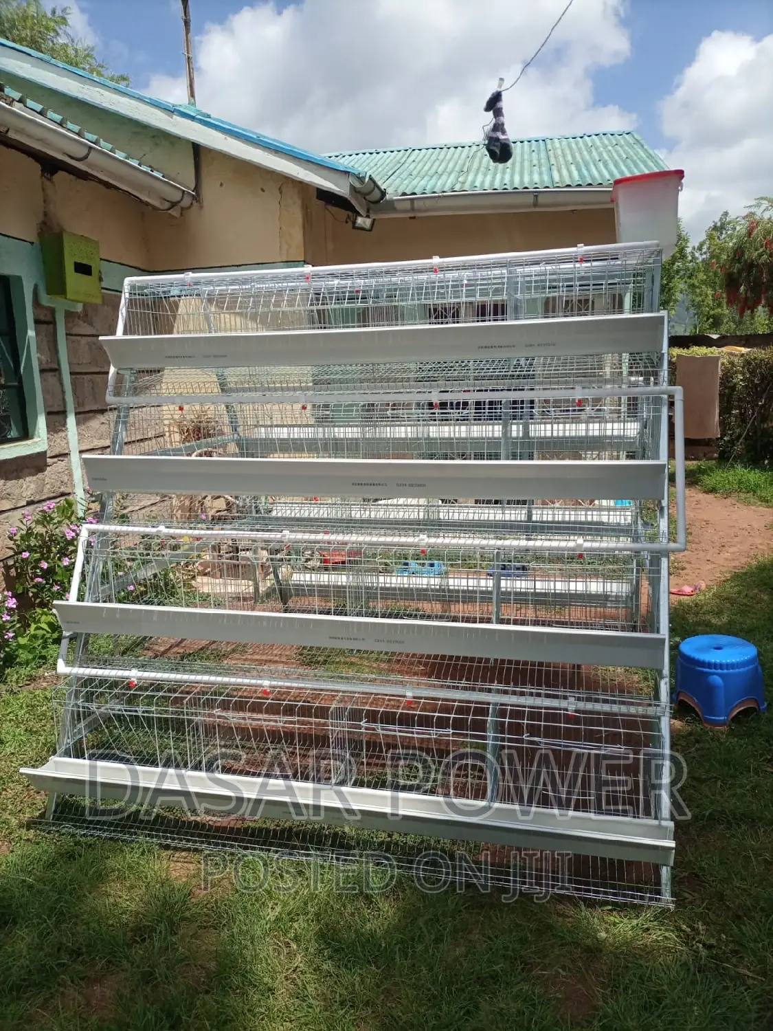 Poutry Cages