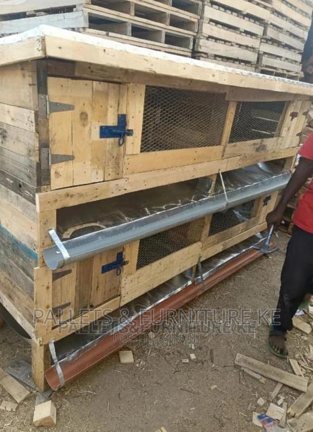 Rabbit House 0665 - main view