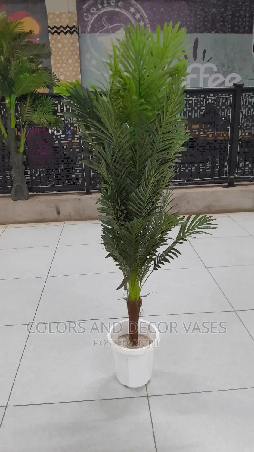 Palm Tree 1.6m Offer Price