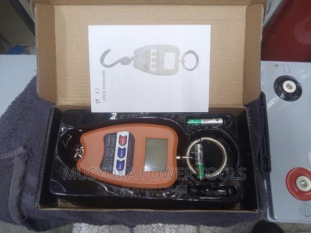 Portable Mini Crane Digital Hanging Scale - main view