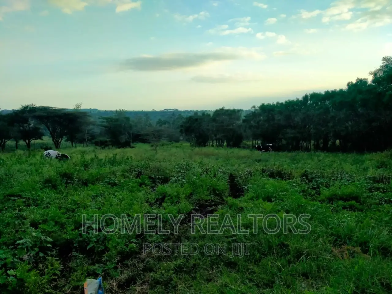 Half (1⁄2) Acre Residential Land in Kandisi, Ongata Rongai