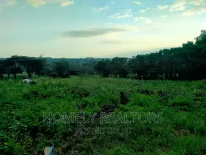 Half (1⁄2) Acre Residential Land in Kandisi, Ongata Rongai