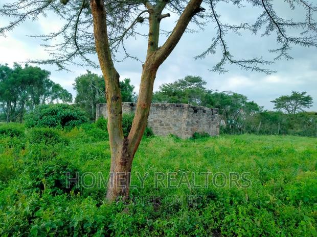 A Quarter (1⁄2) Acre Plot on Kandisi Near Police Station - thumbnail 3