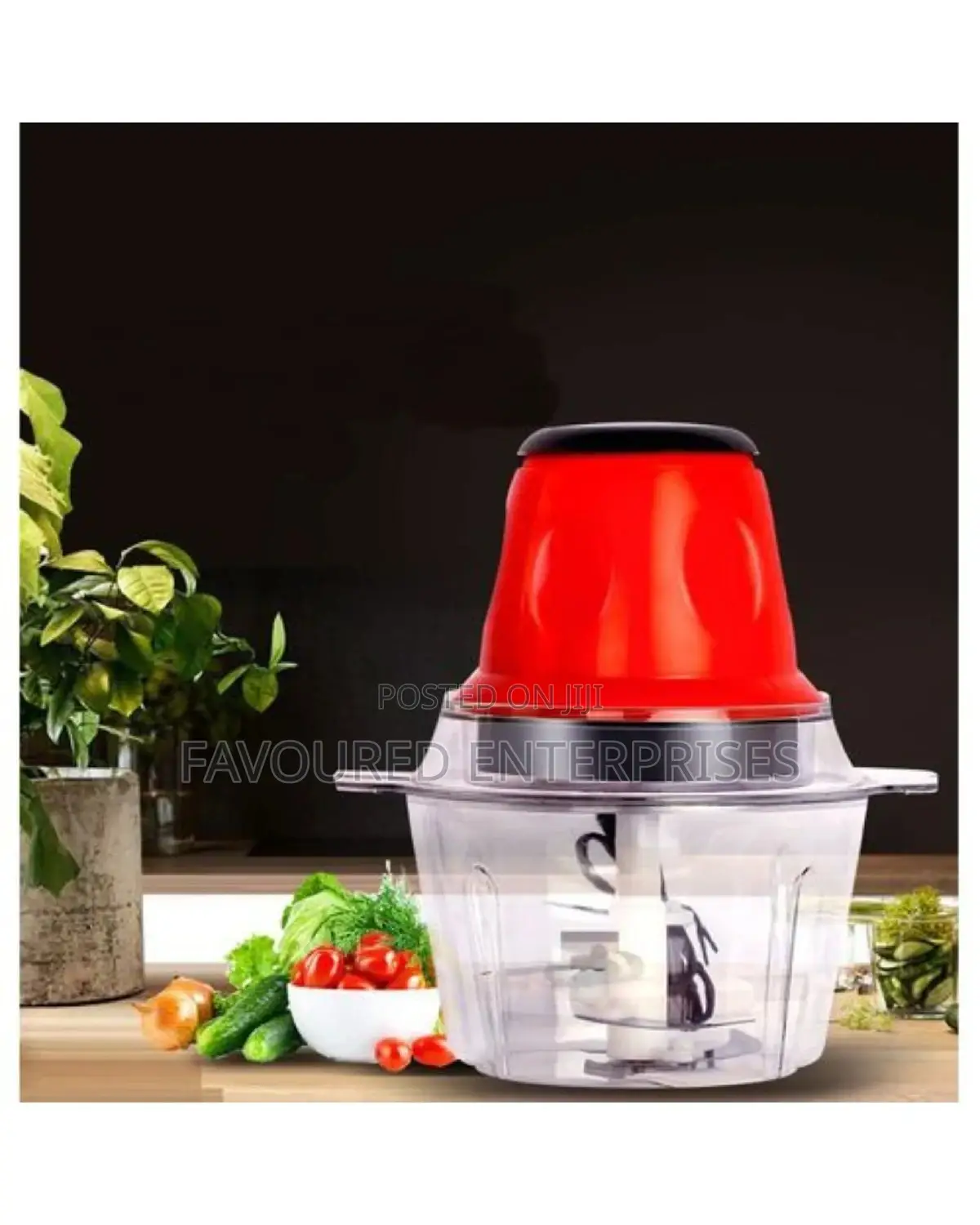 Electric Multi-Functional Food Processor -