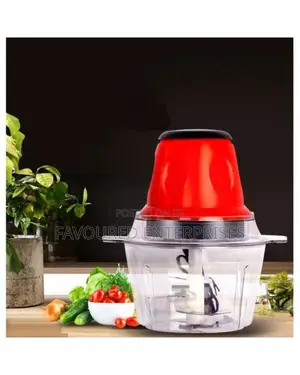 Electric Multi-Functional Food Processor -