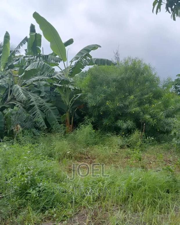 Malindi 45 Acres Ready Title Deed - thumbnail 3